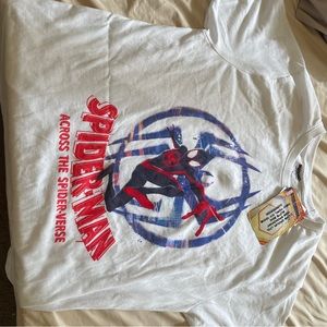 Spider-Man across the verse